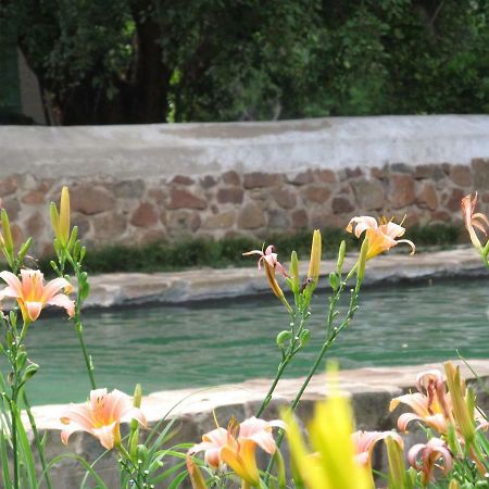 Hillside Farm Hotel Trompsburg Luaran gambar