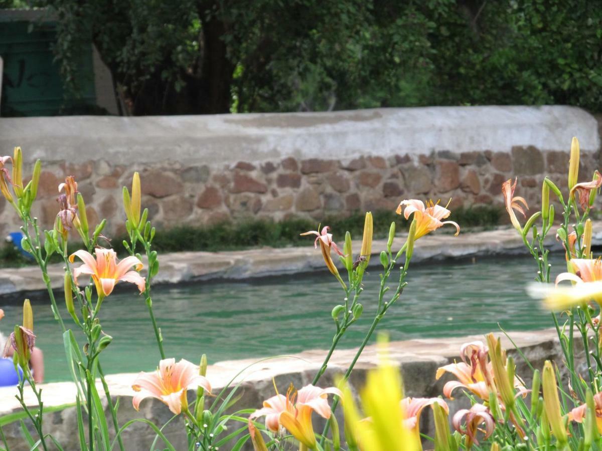 Hillside Farm Hotel Trompsburg Luaran gambar